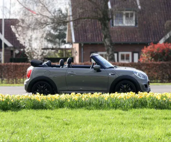 lente mini