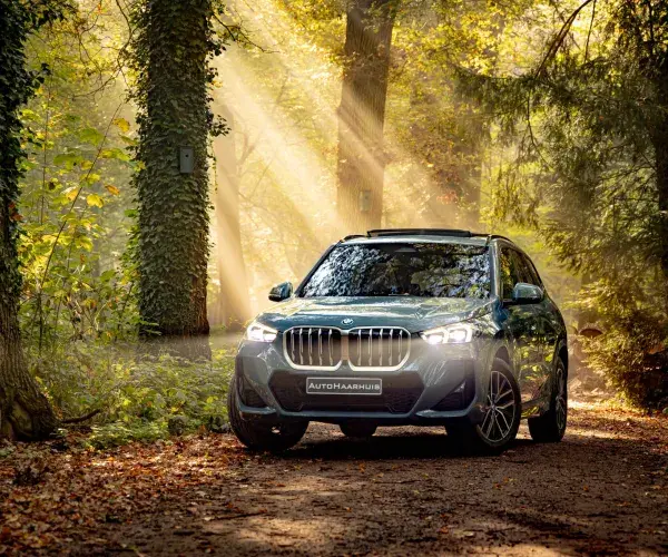 BMW X1 xDrive30e M Sport 