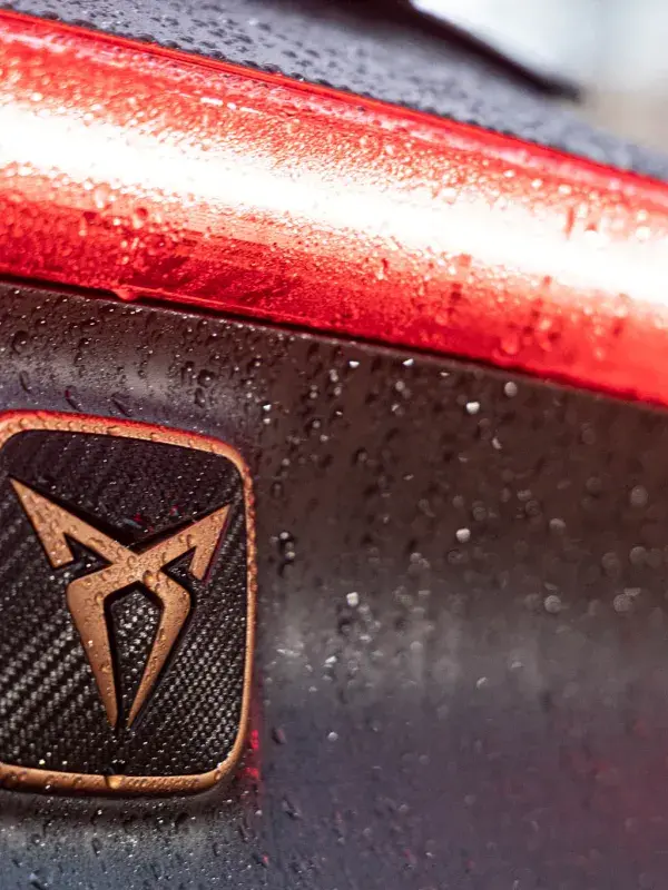 Cupra Formentor VZ logo