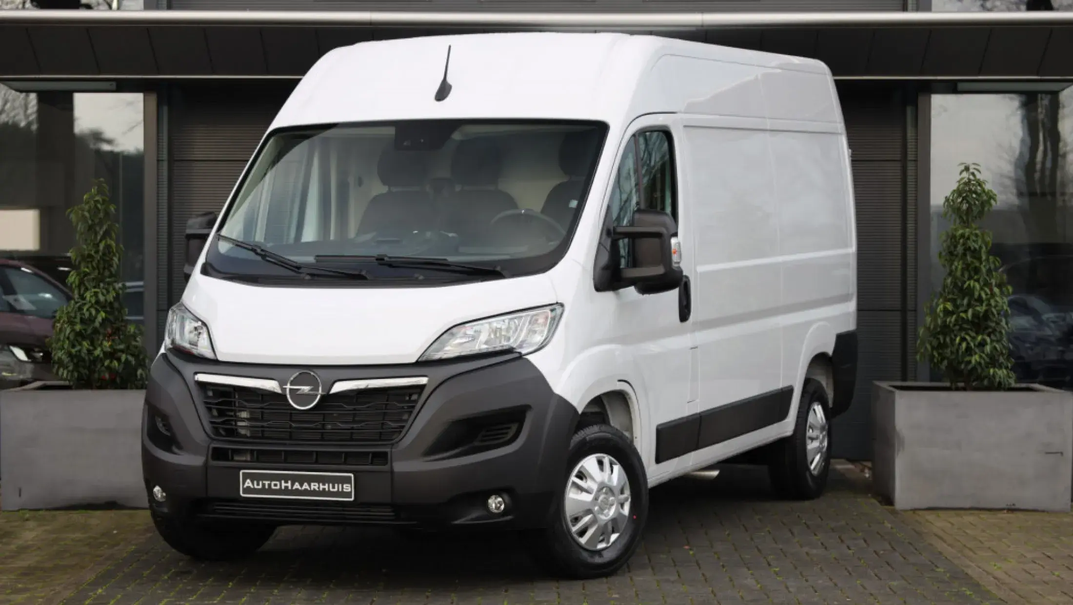 Movano