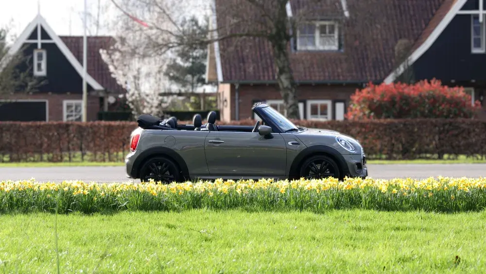 lente mini