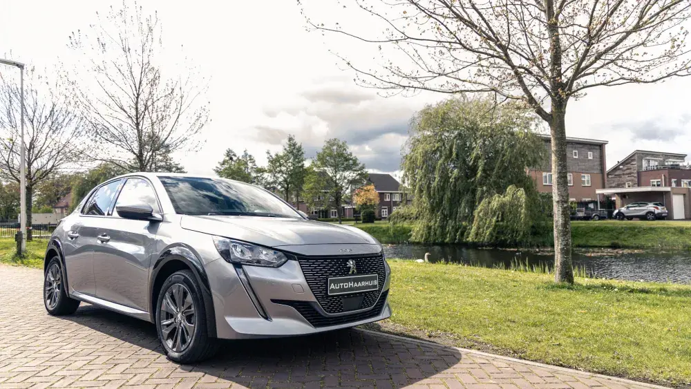 Peugeot grijs