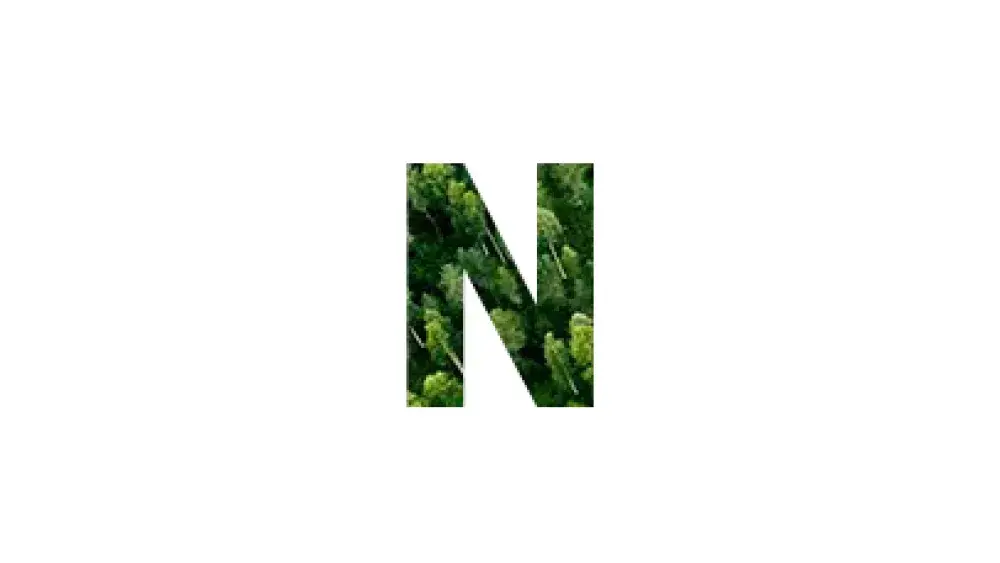 Antilope N.jpg