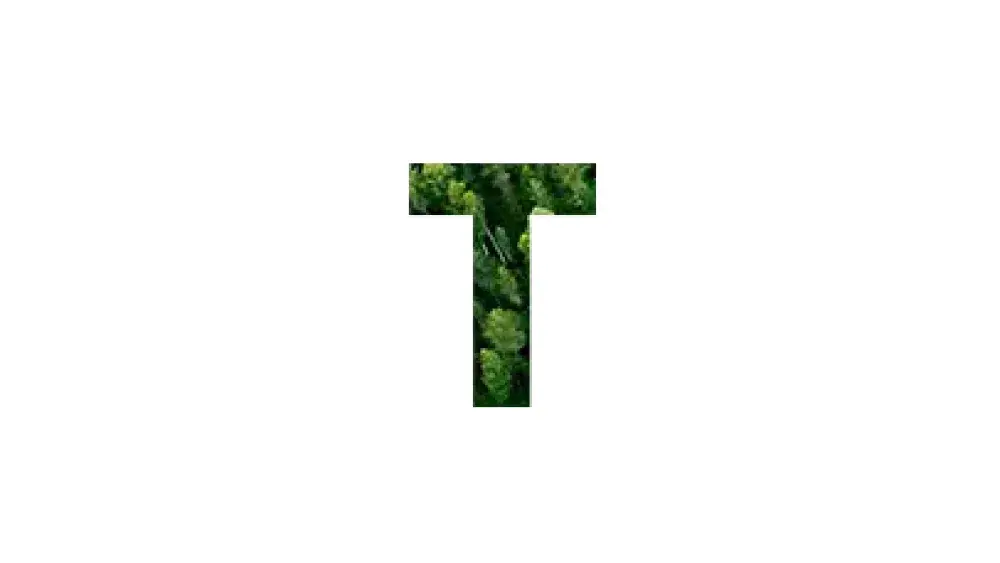 Antilope T.jpg