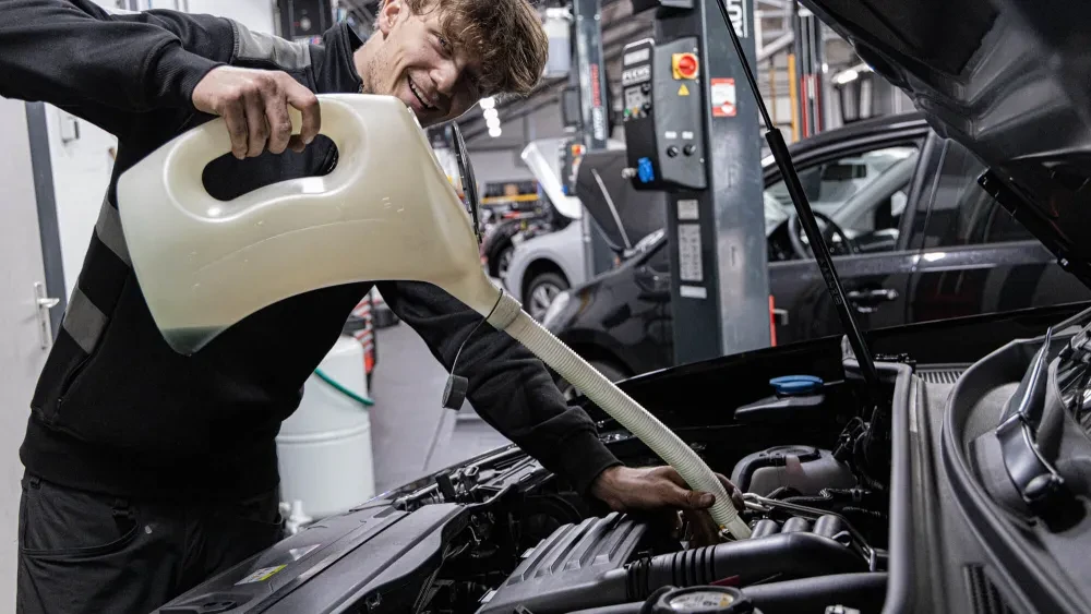 AutoHaarhuis-Diëgo-Serra