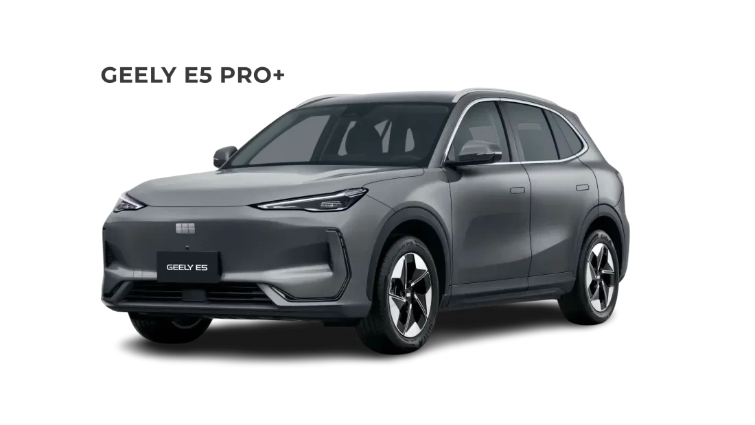 Geely-E5-trimlines_pro+_grey-AutoHaarhuis