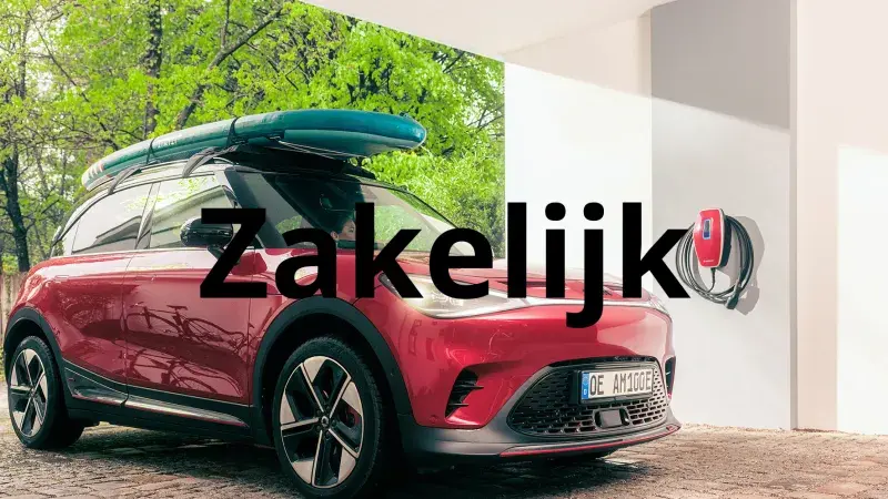 Zakelijk 